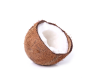 Cocco